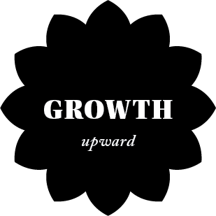 Growth Upward Toward the Light Sparkle with Sara Values